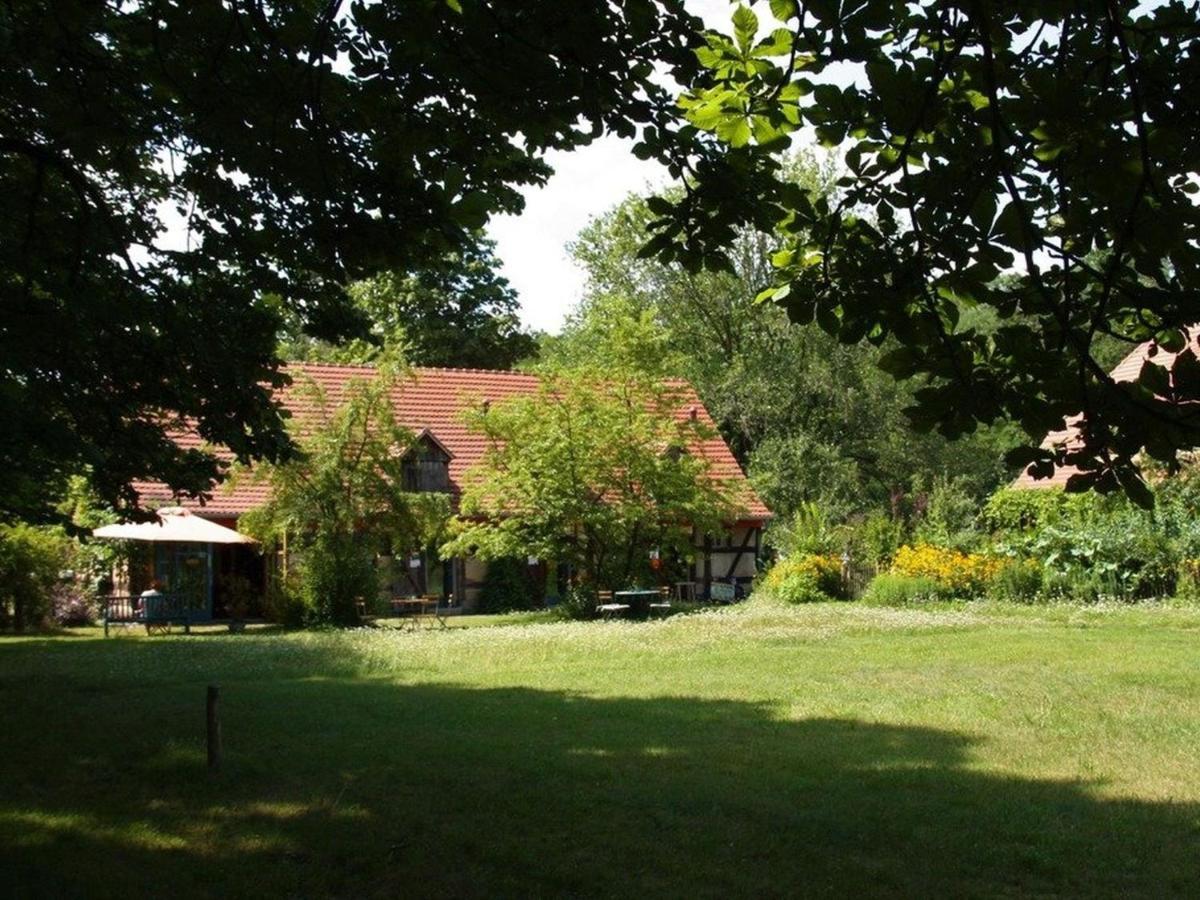 Ferienwohnung Am Roten Schloss Glashutte  Exterior photo